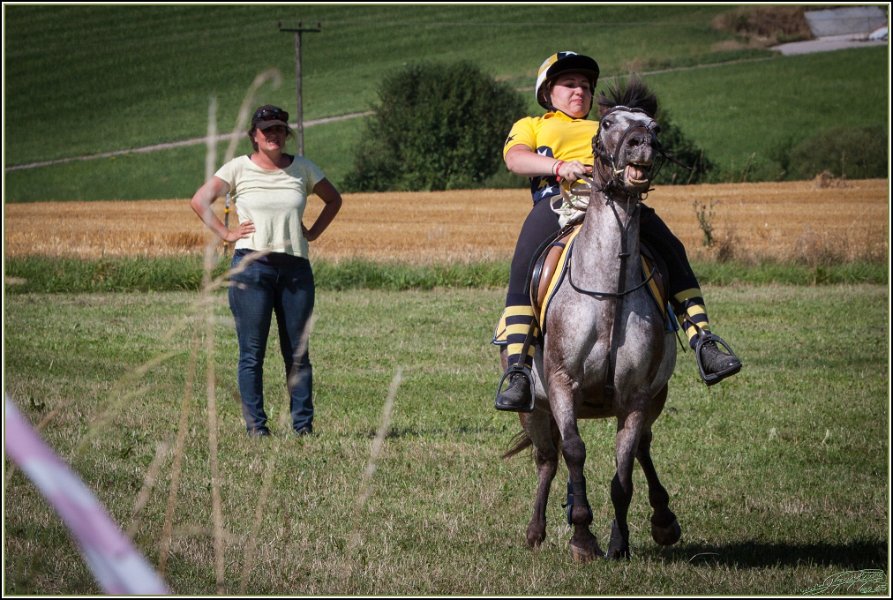 Mounted Games 281